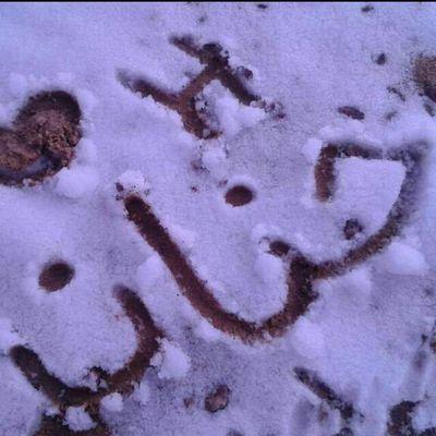 hannan9122 Profile Picture