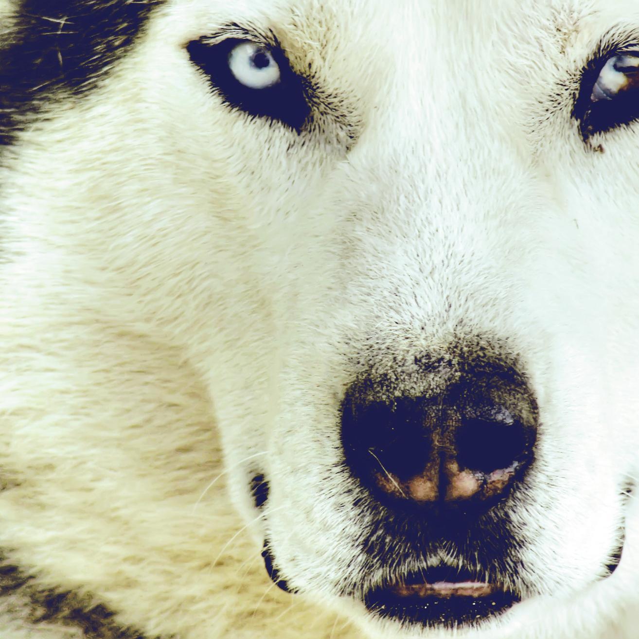 UnlockYourAlpha's profile picture. Felix Blake is a young entrepreneur and motivational coach. A born showman, he loves making people happy, successful and ready to take on the world.