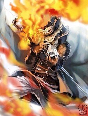 ONEPIECE専用垢/エース*サボ*ロメオ*ロー好き/無言フォローすいません/フォローお願いします