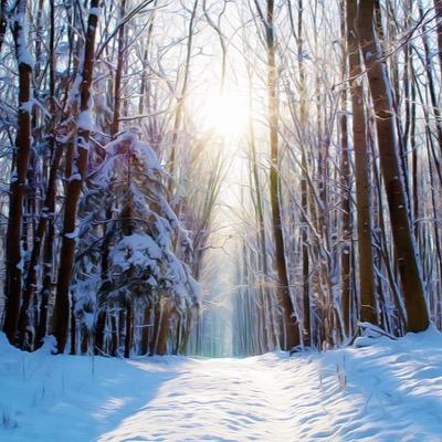 Niko2207's profile picture. 