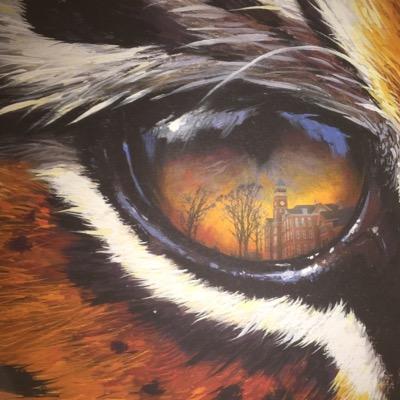 AllinTiger's profile picture. 