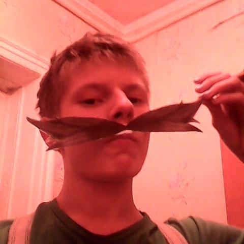 DanielafMarkov's profile picture. 