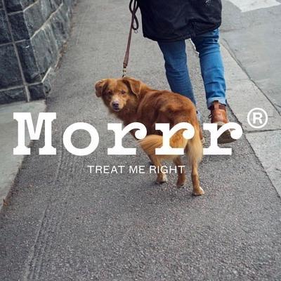 Morrrpets's profile picture. We want to be the leading marketplace connecting pet lovers and professionals for pets' wellbeing.