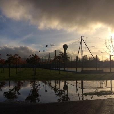 Scientist @ucddublin interested in biomedical science teaching and research