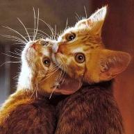 marcozsevilla's profile picture. 