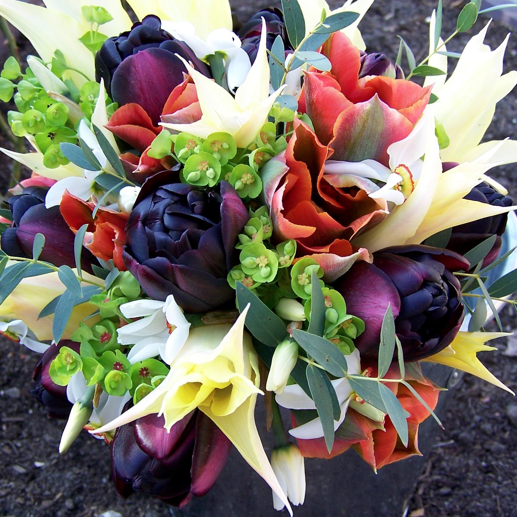 FreesiaFrida's profile picture. I’m Jo. Project manager of regeneration projects in Gateshead. Love instigating change. Interested in disruptive thinking & doing.