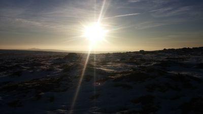 Nikynackynoo's profile picture. 