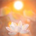 hazel - @SixInTheSuburbs - Twitter