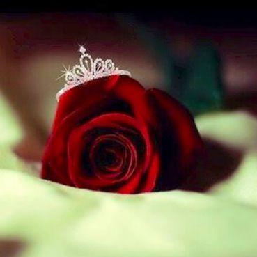 استغفرالله وأتوب إليه ~