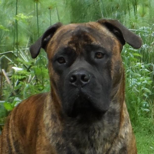 shaun_turn's profile picture. Be kind...