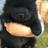 Tr_Leung's profile image