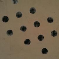 bayly shelton (@baylyshelton) 's Twitter Profile