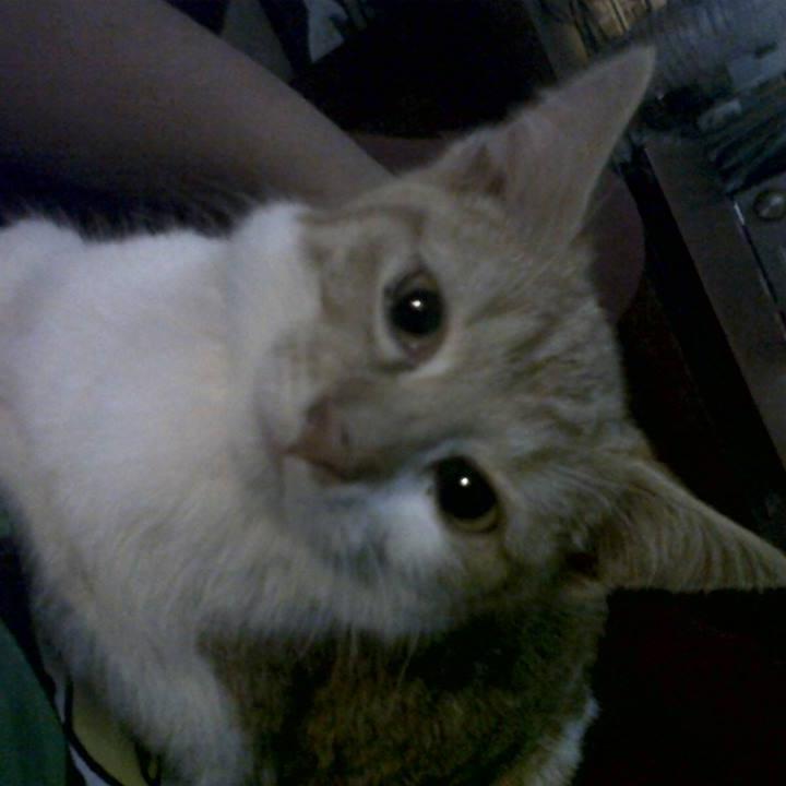 JamikaAustinBel's profile picture. fuck the system