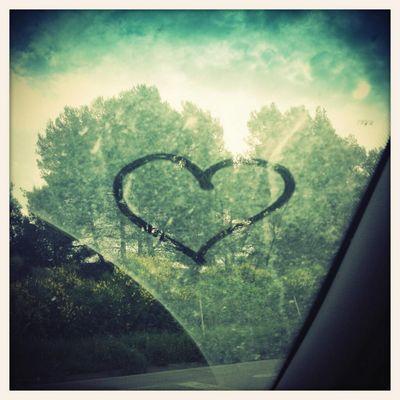 DemirMetanet's profile picture. 