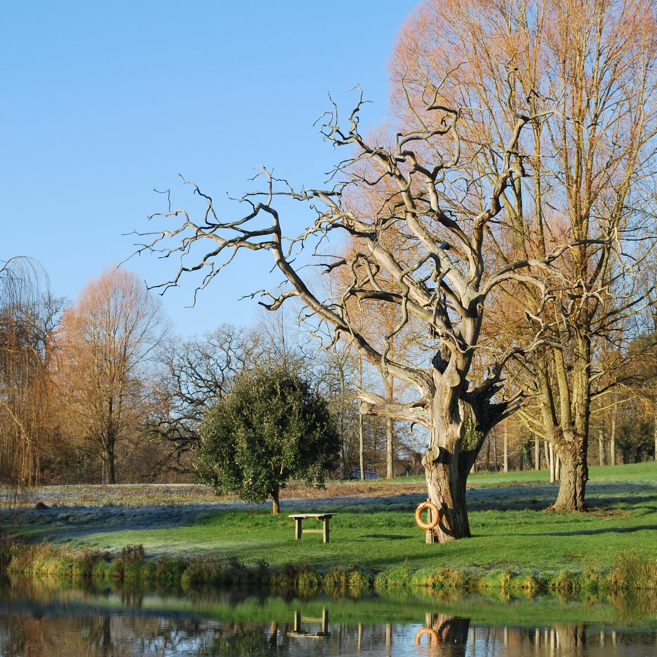 Trout fishery in Hampshire (Romsey). Set in 50 acres 4 lakes + half a mile of the river Dun. Available on day and season tickets. Email: info@holburylakes.co.uk