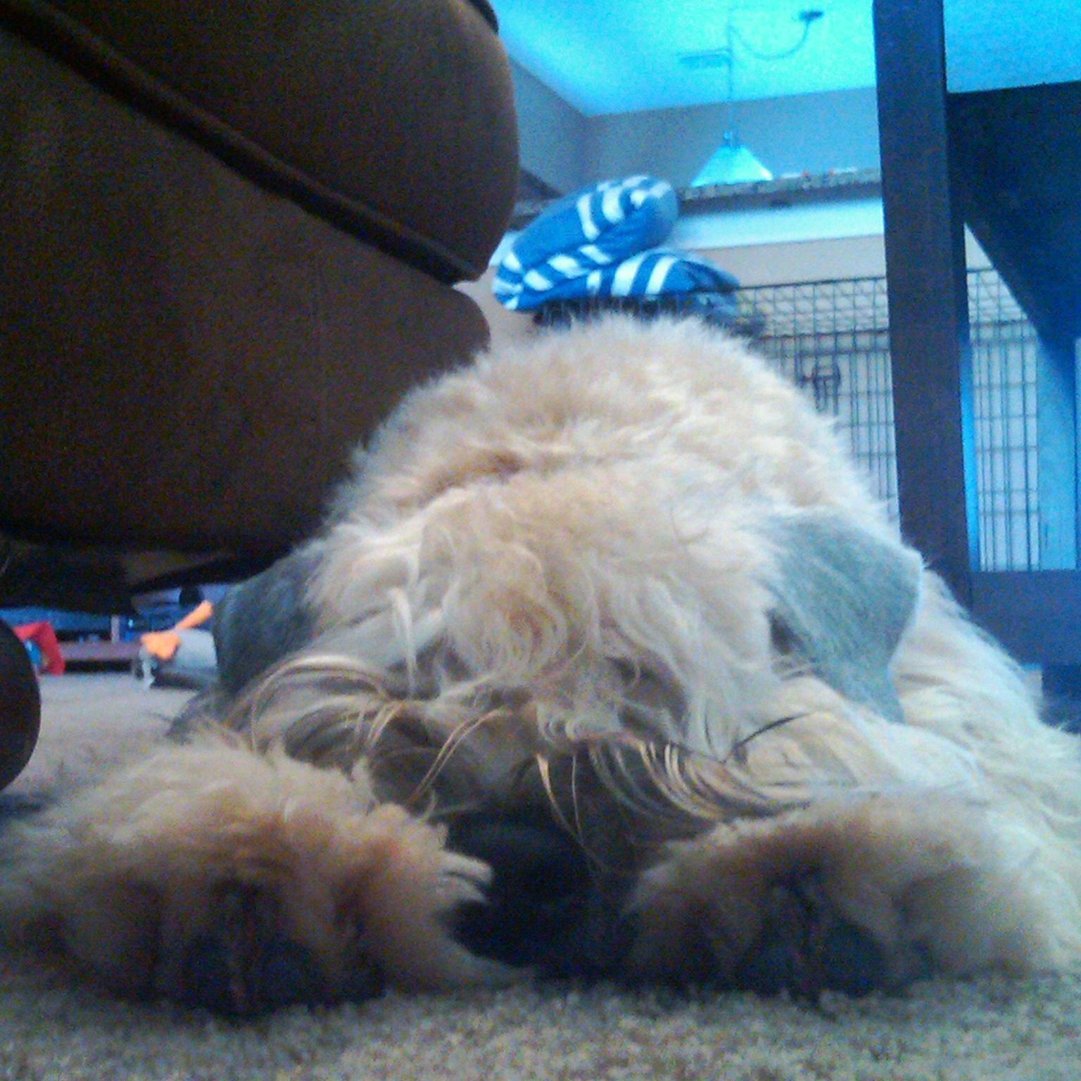 branroberts08's profile picture. 