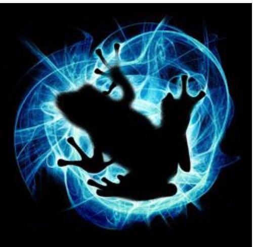 This is an inactive account that used to translate Icefrogs posts from Weibo when he didn't use Twitter. However you can now find the real Icefrog at @IceFrog!