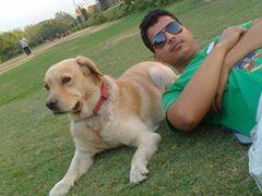 MehtaMh19's profile picture. BBA From JAMIA HAMDARD UNIVERSITY..
Mai Ek Rashtwadi hu..
Koi kisi bhi jati ya Majhab se ho sabhi Ek Munch par aao..
My Concept is  Equality & Secularism.