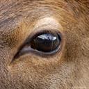 Michael Wess - @michaeljwess - Twitter