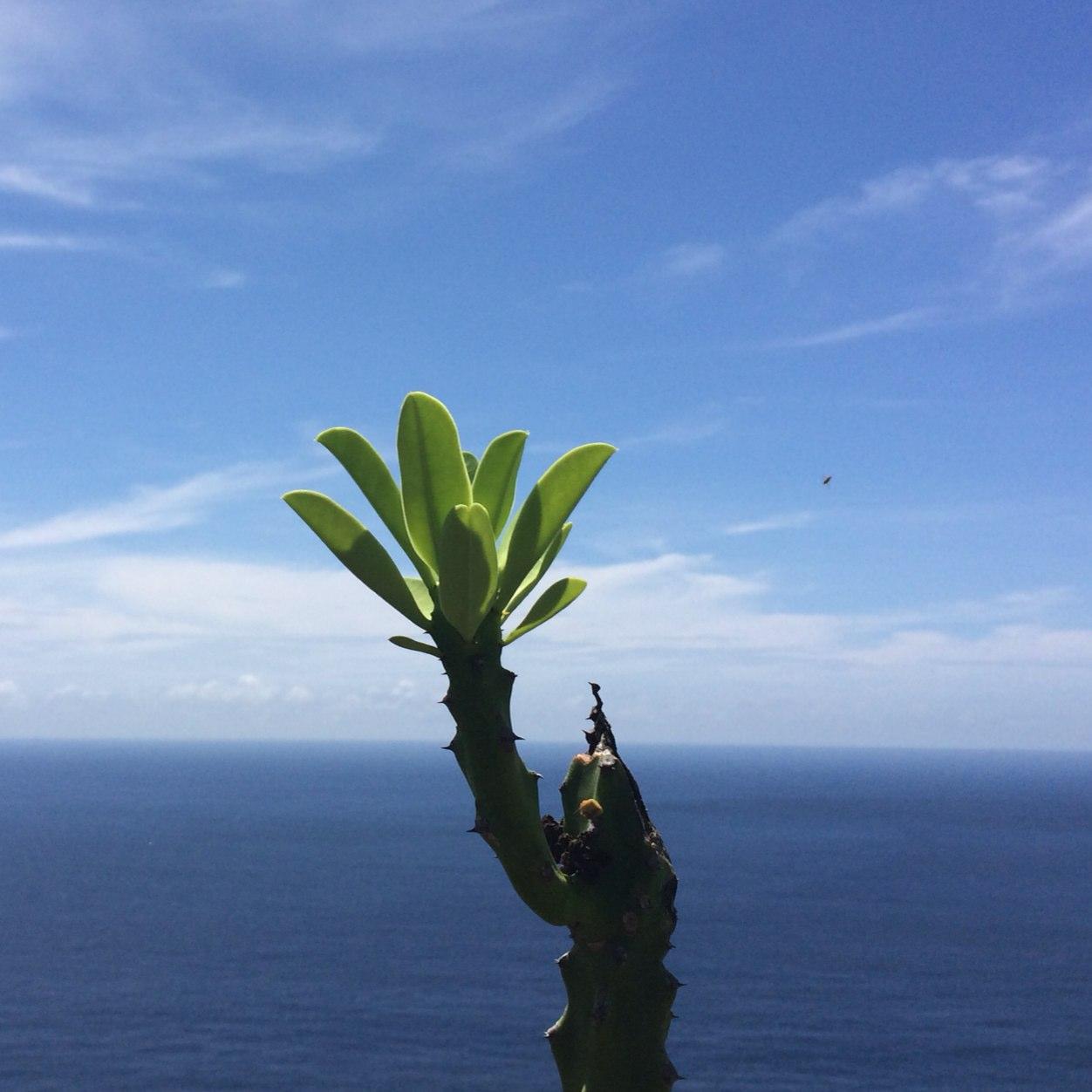 christina_who's profile picture. detektif partikelir, penggemar roman picisan, pelancong impulsif, dan pensiunan penonton film horor.