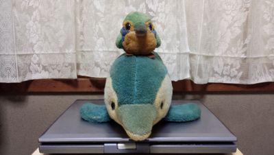 ぼちぼちいこか