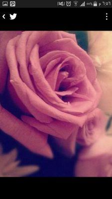 beedoo_4's profile picture. ‏‏‏‏حرفي في المفضلة ~