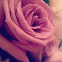 BEDO (@beedoo_4) 's Twitter Profile