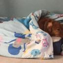 Pete Wilkins - @peterh_w - Twitter