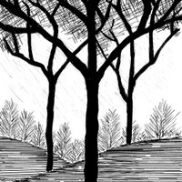 Torbreck (@torbreckbarossa) 's Twitter Profile