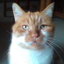 Frank Pitcher - @andrea_mazzali - Twitter