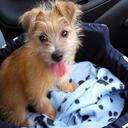 Aaron Munn - @Aaron_munn - Twitter