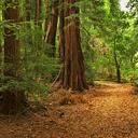 Reid Addison - @Reid_Addison - Twitter