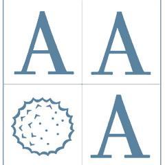 The American Academy of Otolaryngic Allergy (AAOA) represents over 2700 Board-certified otolaryngologists and health care providers #ENTAllergy #Otolaryngology