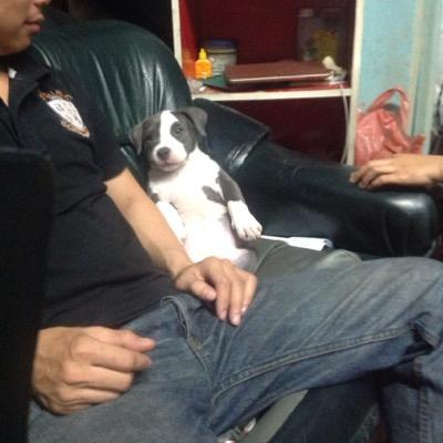 12345ads13's profile picture. 