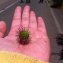 Salomé Vargas - @sally_vargas - Twitter