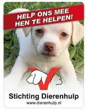 STDierenHulp's profile picture. Laat dieren niet aan hun lot over ze hebben geen enkele kans om zich te verdedigen! maak je sterk tegen dierenmishandeling!! Volg Me voor meer advies