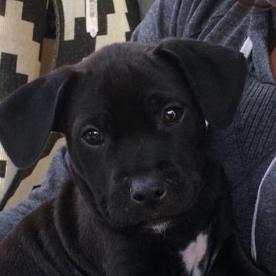 Sparkburgess's profile picture. 