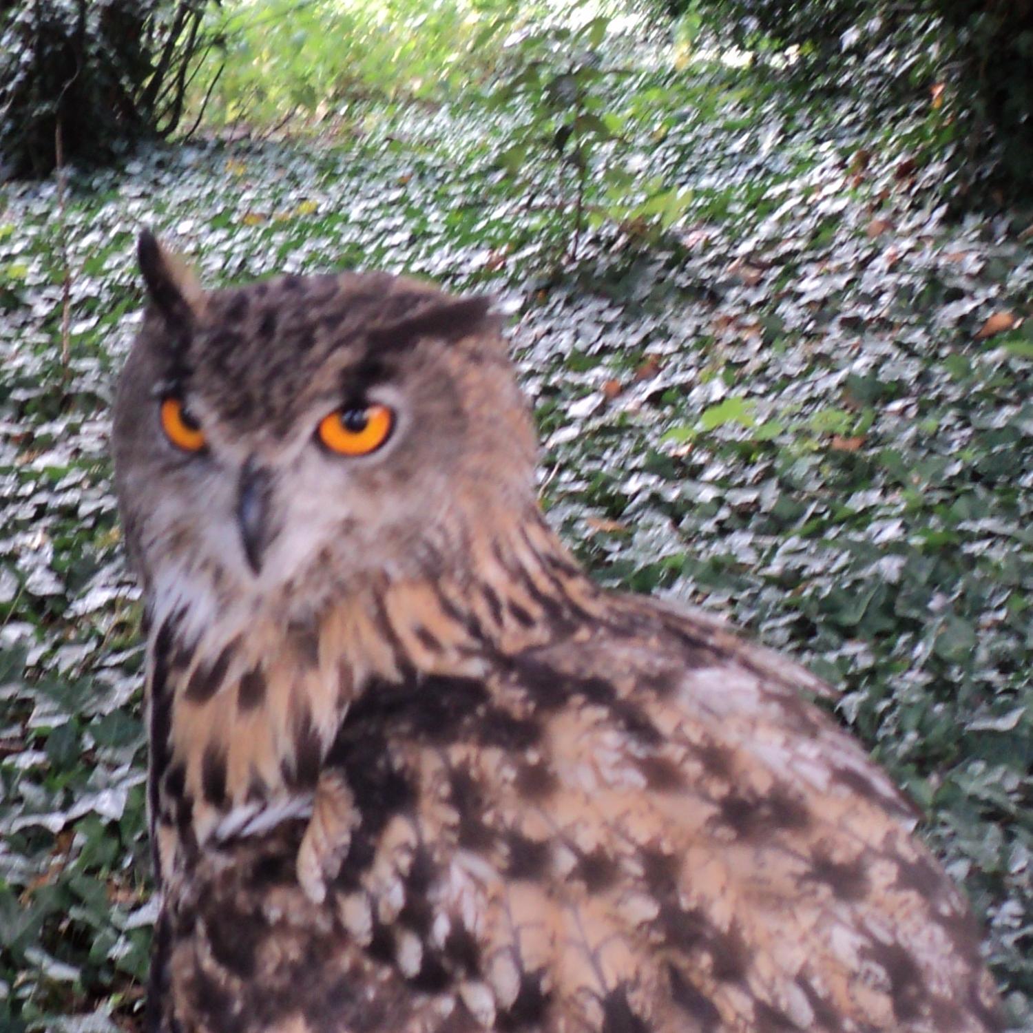 RayT47's profile picture. 