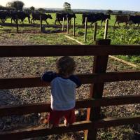 Bernadette O'Brien (@ballinascarta) 's Twitter Profile