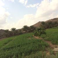 مسافر (@8cd4b8f78bdb45b) 's Twitter Profile