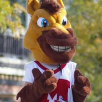 Milford High School (@brucemaverick) 's Twitter Profile