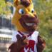 Milford High School (@brucemaverick) Twitter profile photo Milford High School (@brucemaverick) Twitter profile photo