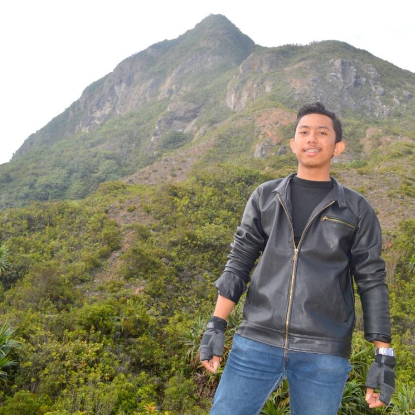 wirdik's profile picture. 