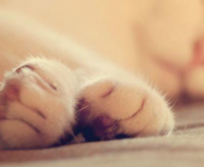 marionelodie91's profile picture. 