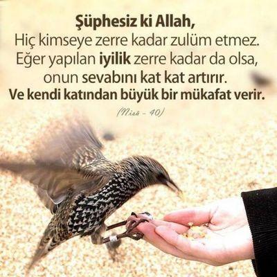 zaferihsankara's profile picture. NE MUTLU TÜRKÜM DİYENE