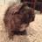 richardzega_'s profile image