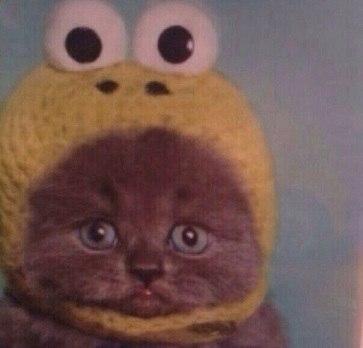 liboiron_lena's profile picture. Для всего мира ты лишь один человек, но для одного человека ты, возможно, весь мир... #rufollowback #followback