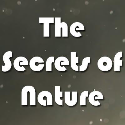 NatureUniversum's profile picture. Check out our nature films and don't forget to subscribe.