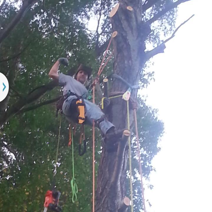 The Anything Man is a fully insured 3rd generation tree service specialist. Hazardous tree removal, pruning, on site splitting, etc. Call Chris 203-892-2005