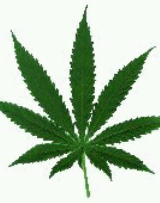 Pescallunes. Pages ecologic, m'agrada el verd de la marihuana.       Xafat i Amb Globus 🎈